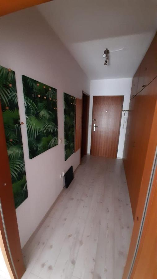 Haus Enere Au Fewo Antonia Und Fewo Milan Todtmoos Buitenkant foto